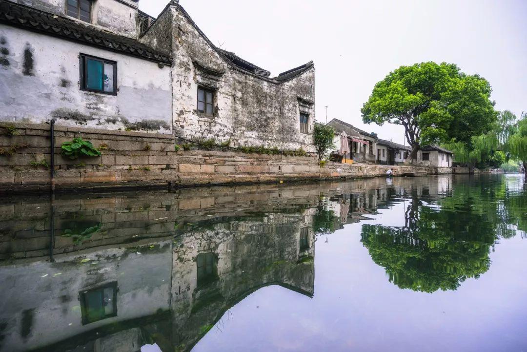 深入了解水培石榴枝开花,怎么办,精选知识星球平台